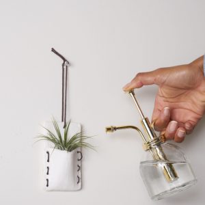 Indoor plant care 300x300